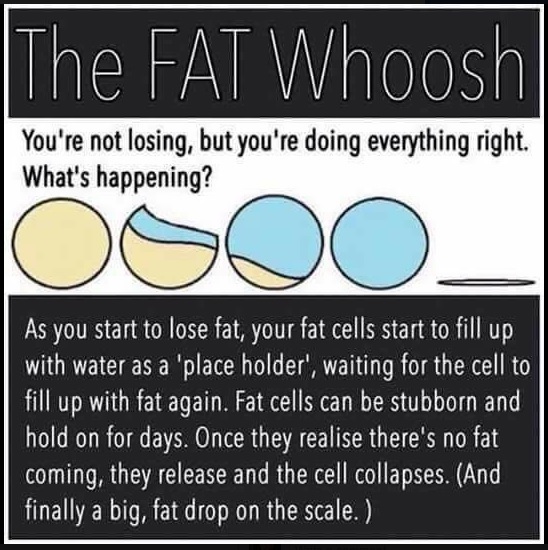 The Fat Woosh - Keto plateau explained